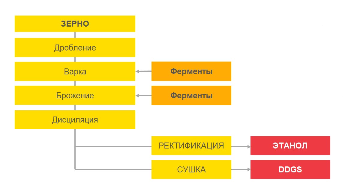 Спиртзавод для приготовления самогона купить в СПб